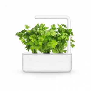 Smart Garden